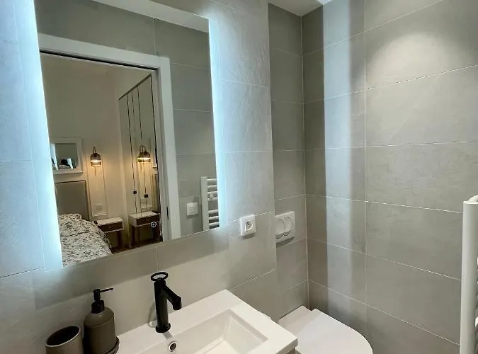 公寓 Magnifique Sur Jardin - Vieil *