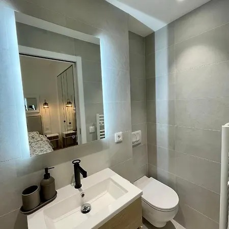Apartment Magnifique Sur Jardin - Vieil *
